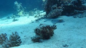 погружение