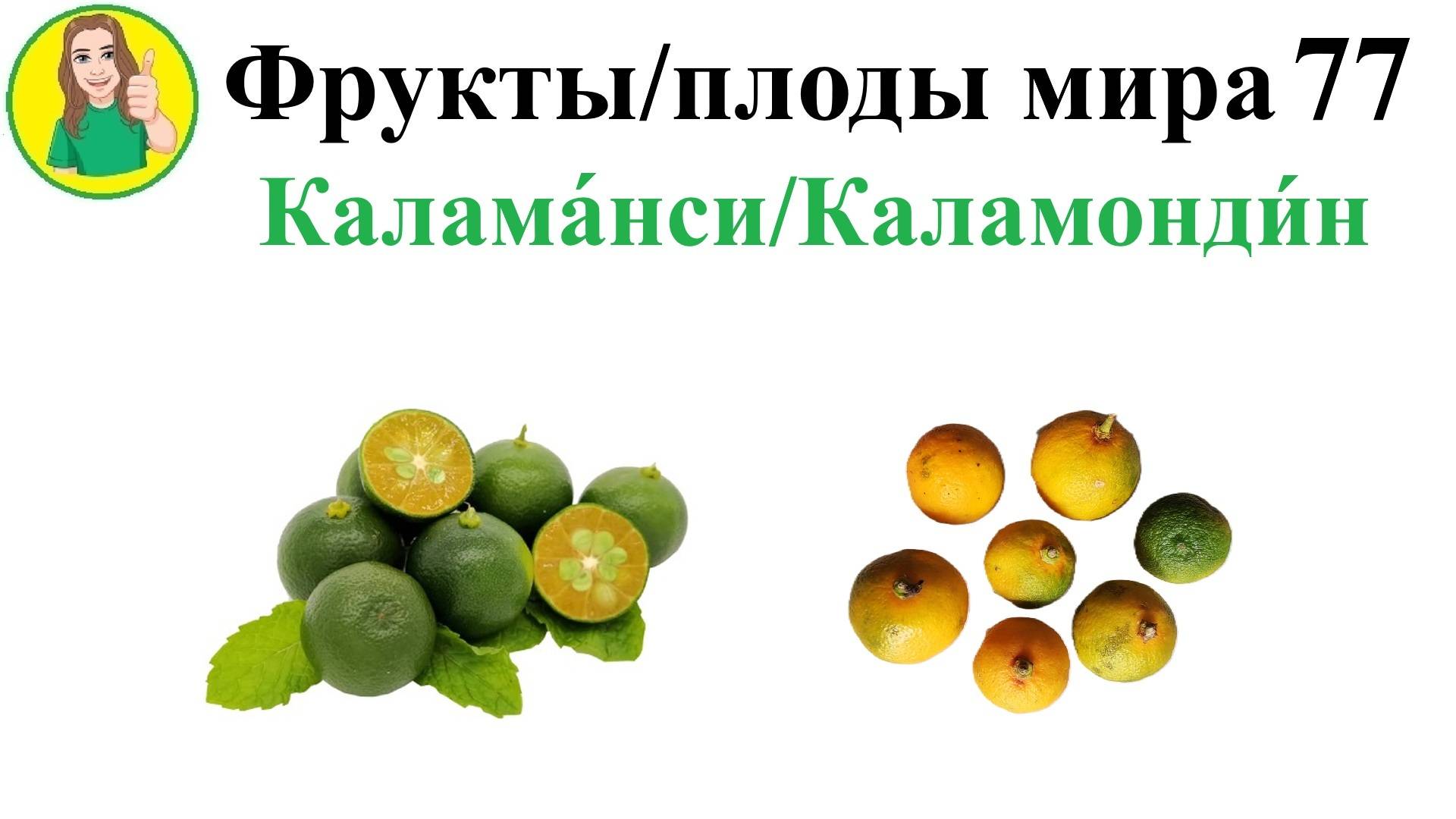 Фрукты - плоды мира 77 – Каламанси или Каламондин Сыроедение Фрукторианство Цитрофортунелла
