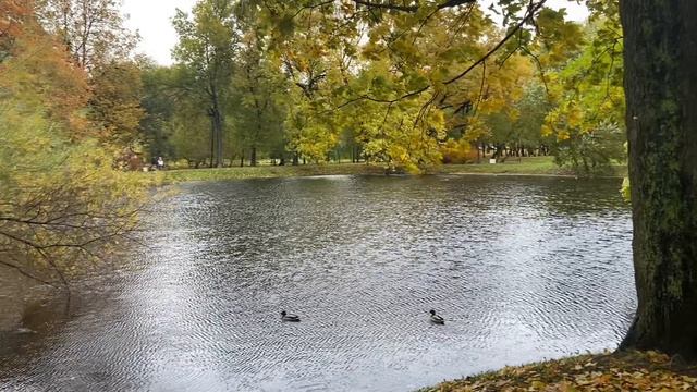 Парк Екатерингоф в Санкт-Петербурге
