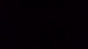 Ближайшее будущее