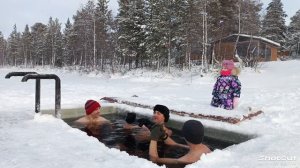 моржи Муравленко