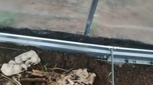 У меня как в поговорке🤦,,не было заботы,купила баба 🐷+🐷"😄😄😄