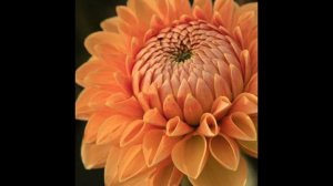 2015_11_07_Обсуждение_Человек_Ничто,_Бог_Всё