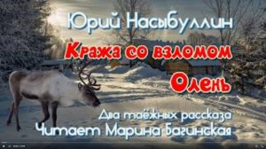 Аудиокнига Юрий Насыбуллин _Кража со взломом_, _Олень_ уточнённая редакция Читает М.Багинская.