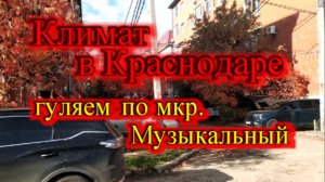 Какой климат в Краснодаре_Гуляем по району Музыкальный