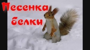 ПЕСЕНКА БЕЛКИ