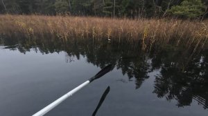 Осенняя рыбалка на самоловки.