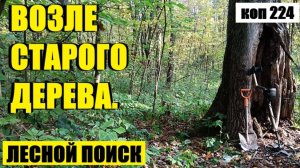 или Я УЖЕ СО СЧЕТУ СБИЛСЯ ИХ СЧИТАТЬ. коп 224