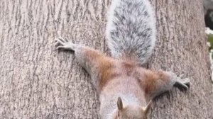 Тс-с-с! Не спугните!💕