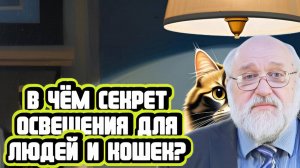 Борис Бояршинов про освещение для людей и кошек