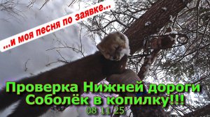 Проверка Нижней дороги Соболёк в копилку!!! 08 11 25