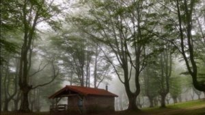 Красота, лесных домов !