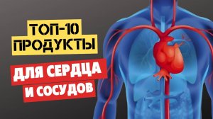 Продукты для сердца и сосудов (полезные). Список самых лучших, ТОП-10.