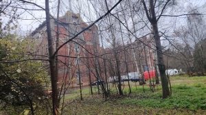 Ногинск. Старинные фабрики. Чёрный кот.