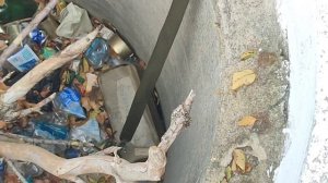 Добыча экспонатов