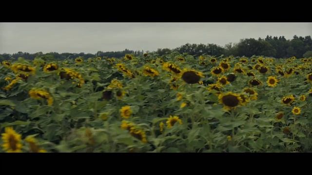 Долгая прогулка!!! смотреть онлайн