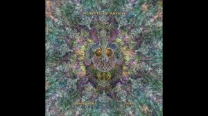 Spectrum Noise - Mystical Experiences 006