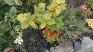 Когда за окном зима, так приятно посмотреть на свои любимые растюхи😍🌿❄️