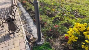 Они погибли за Родину на СВО.