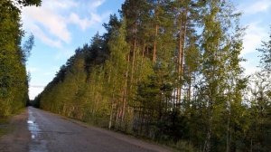 За грибами.25