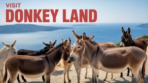 Ослиная ферма в Афинах