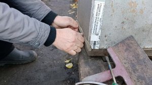 Пчелосемьи избавляются от клеща.