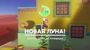 Цветы: семя на площади