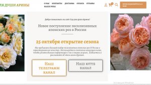 Наши розы. Питомник Сад для души Арины. Все от начала и до конца