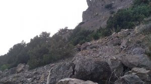 Красивый сад камней раскинулся у подножия горы Алчак-Кая в Судаке