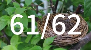 Расслабленная кисть принимает гнездообразную форму