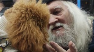 вот как любят животные волшебника ...