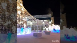 На Ямале законопослушные олени. В Салехарде даже упряжки переходят зебру на зеленый светофор.