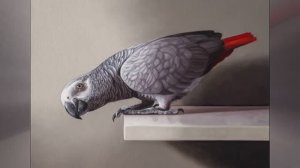 Серый Попугай 🦜| Реалистичная масляная живопись для начинающих | Рисуем под Музыку 🎵 | АртГейм МК