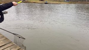 Поимки форели !!!