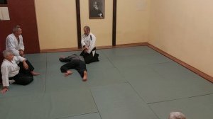 Тренировка по айкидо