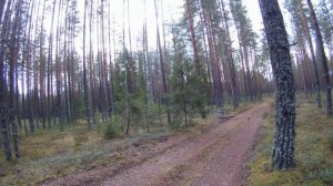 Конец грибного и ягодного сезона 2025!!!