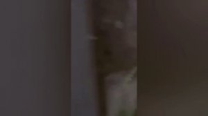 Мощнейший супертайфун «Фунг-Вонг» разрушает Филиппины — ураган с ветром до 185 км/ч