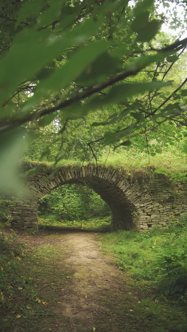 Кировская область. Павловский мост. смотреть онлайн
