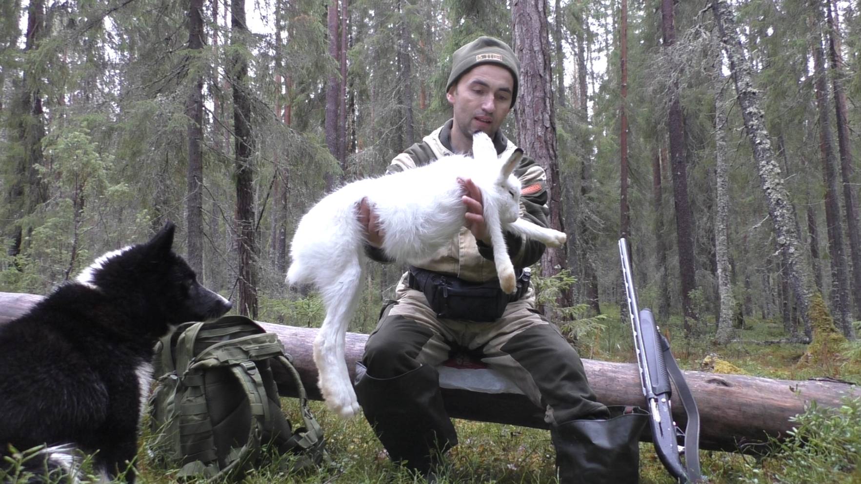 ОХОТА НА ЗАЙЦА ПО ЧЕРНОТРОПУ.ВНОВЬ ФАРТАНУЛО смотреть онлайн