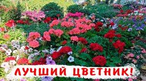 Клумбы с легким уходом! Как вырастить максимально красивый цветник с минимальным уходом!