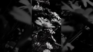 сначала СМЫСЛ, потом все остальное