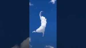 Люди не встречаются случайно