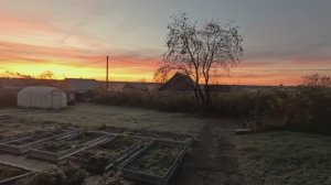 Кенворт - Т660. Ремонт Форда. Праздник Сына.