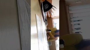 Выносим в отдельный пост жалобу родителей детей из Ишеевки.   "В Ишеевке  пока Директор ДЮСШ Миначев