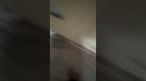 5 сезон 2 серия улица №2 (последний сезон в истории)