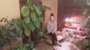 Уборка в зимнем саду! Трудно ли ухаживать за растениями?!