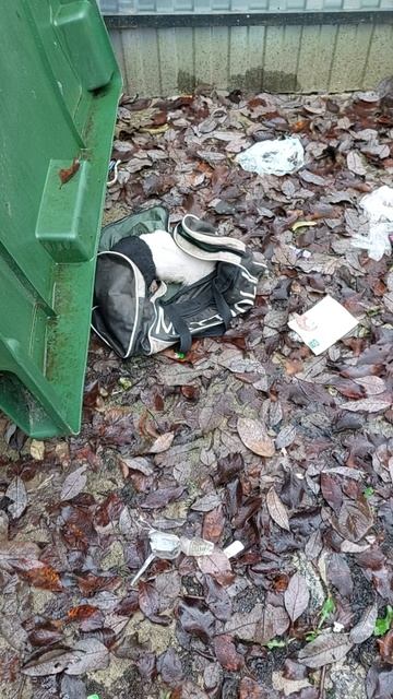 Нелюди оставили 3 щенят в лесу  у контейнеров с мусором. Люди  надежда кто-то  увидит и  пристроит