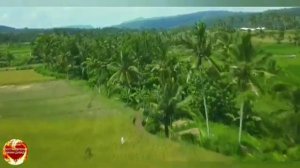 ВОЗЛЮБЛЕННЫЙ ИЗРАИЛЬ МОЙ ! ПСАЛОМ ПРОРОЧЕСКИЙ! БОЖИЙ КАНАЛ: Игорь Роменский Пророческое служение