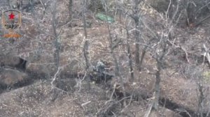 ❗🇷🇺⚔🇺🇦⚡Армия России освободила Новоселовку и продвигается к Северску