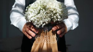 Свадебный клип Дмитрия и Дарьи_v.1.0